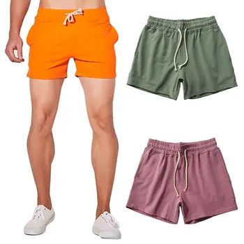 Lühikesed Püksid Särk Vabaaja Värviga Jõusaal Töötab Treening Sportlikud Püksid Meeste Püksid