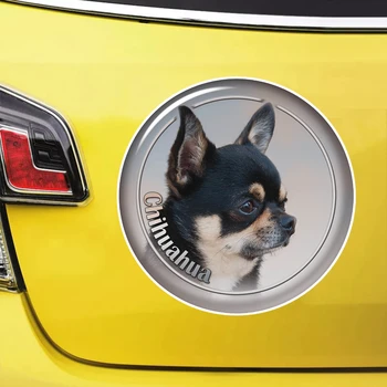 S62111# Chihuahua Koer isekleepuvad Decal Auto Kleebis Veekindel Auto Decors kohta Kaitseraua Tagumise Akna Sülearvuti Vali Suurus
